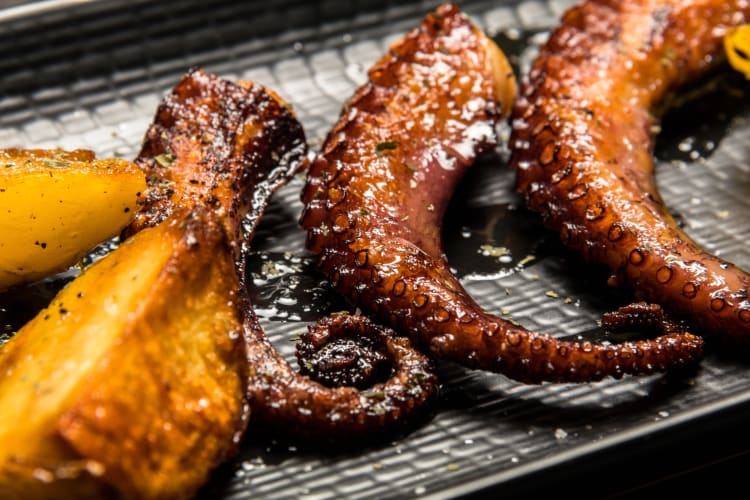 Grilled octopus on a dark plate