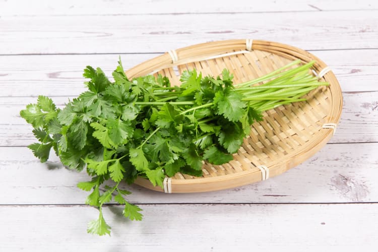 Chinese parsley