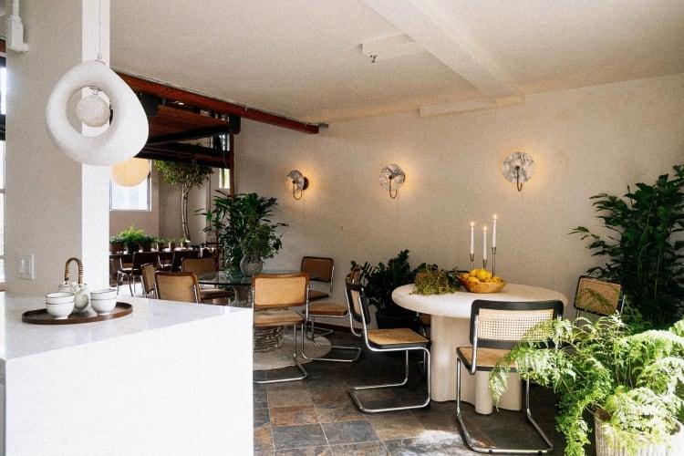 Communal area with tables, chairs and plants, at Moss