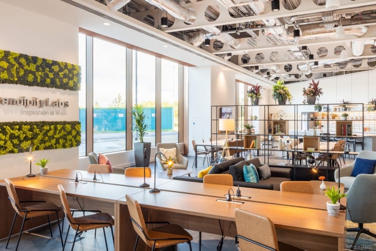 Serendipity Labs coworking