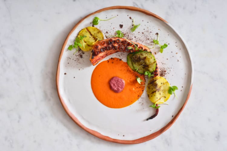 Grilled octopus served with veggies.