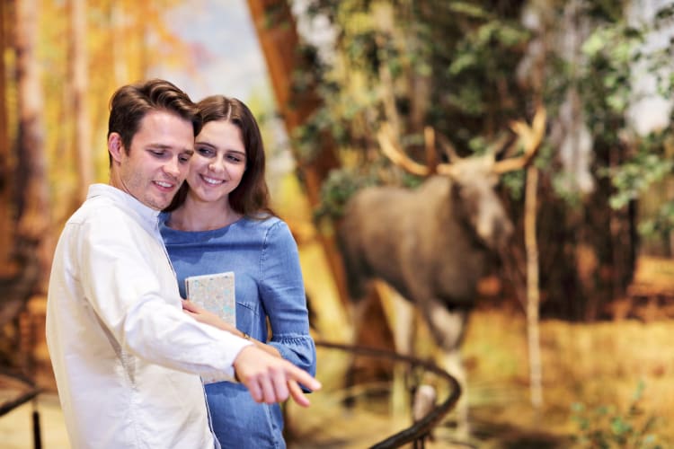 a couple at a history museum with wildlife exhibits in the background