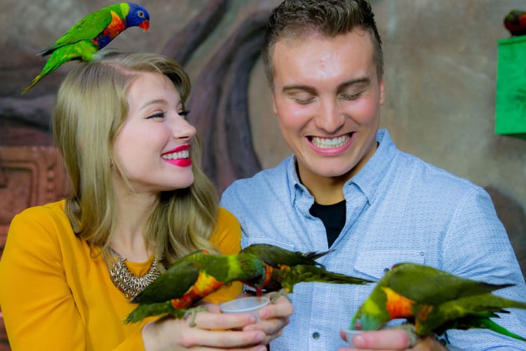 Couple having fun with birds