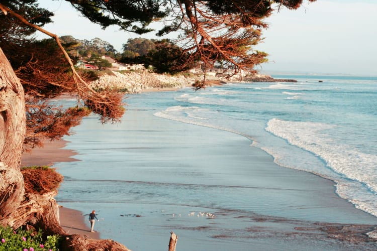 santa cruz beach view