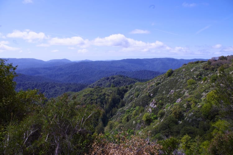 Castle Rock State Park provides a natural escape from the bustling city and makes for a great date idea in San Jose. 