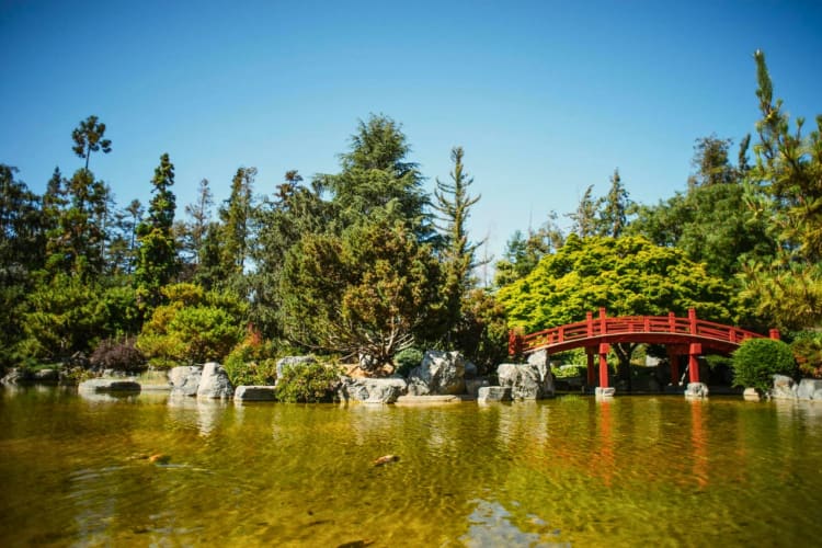 The Japanese Friendship Garden is the perfect place for a free or cheap date idea in San Jose that offers a serene and enchanting setting for a romantic date.