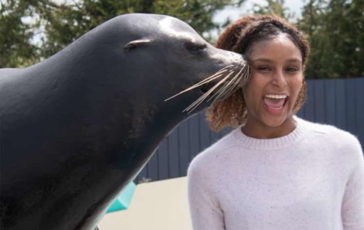 A seal kissing a woman's face at the New York Aquarium
