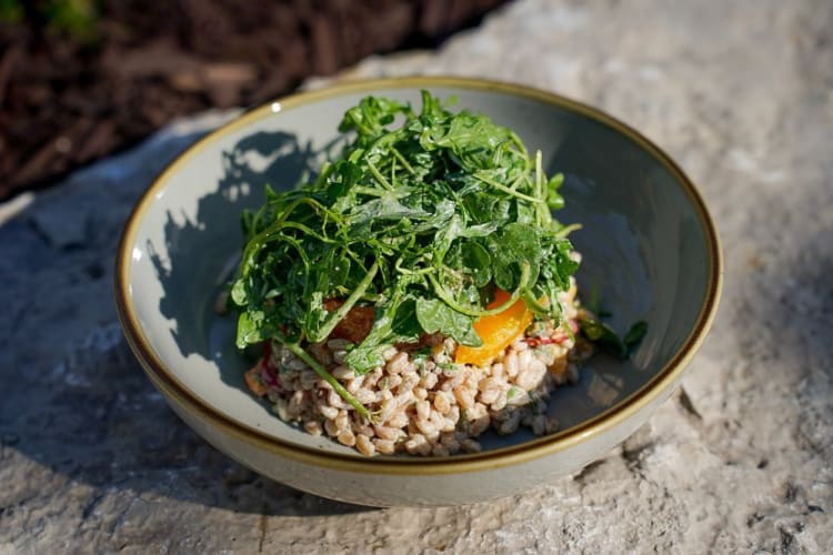 A grain-based dish topped with rocket 