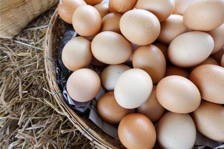 Is there an egg shortage?