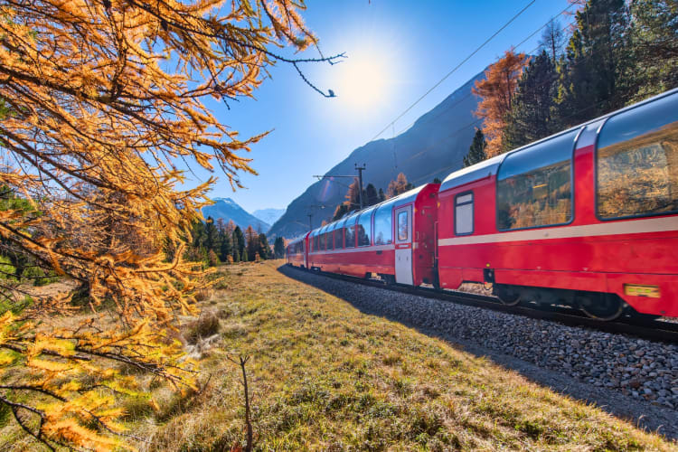 Traveling by train is a fun fall activity