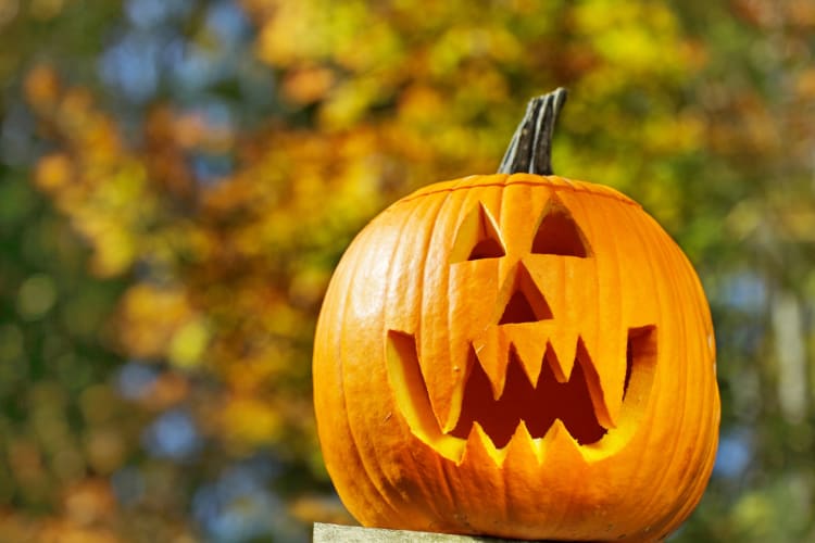 Jack-o’ lantern at fall