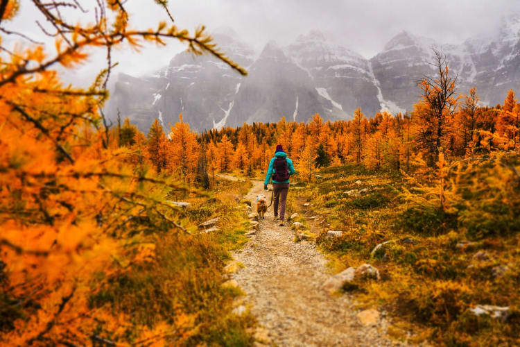 Going on a walk is a fun fall activity