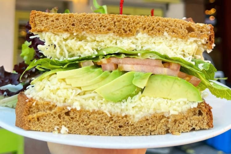 Avocado and cheese sandwich served on a plate