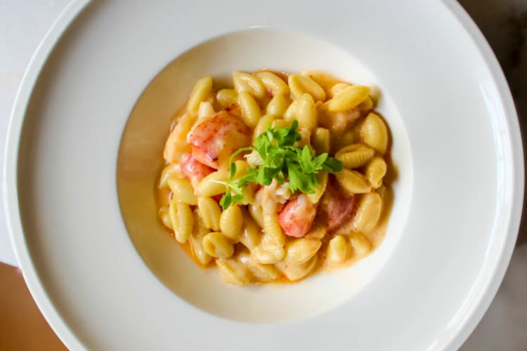Lobster macaroni and cheese