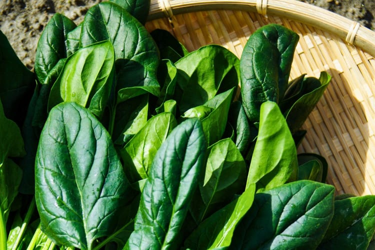 Spinach is among foods that boost the immune system.