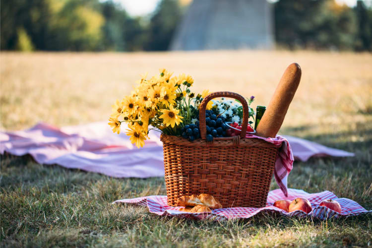 french style picnic