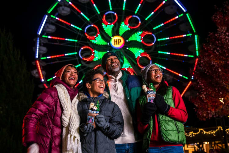 Hersheypark holiday lights are one of the best fun christmas activities to do.