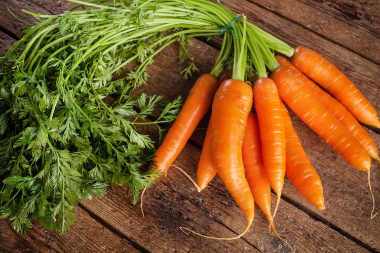 Carrots with the stalks still on.