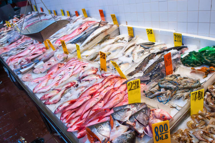 A range of the healthiest fish to eat on sale.