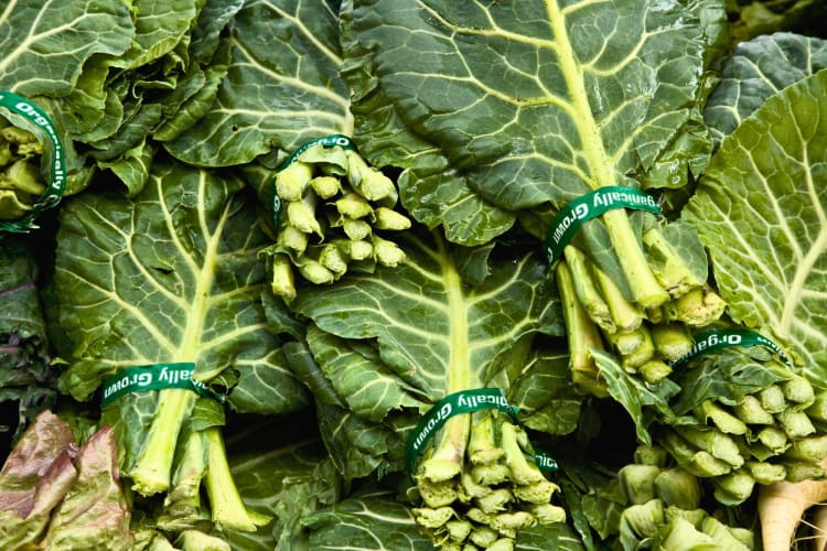 Bundles of collard greens.