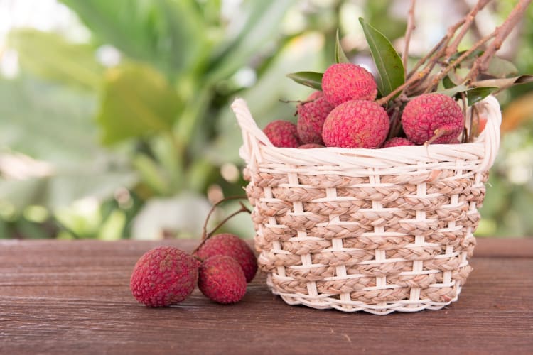 Lychees on a picnic basket with leaves in the background