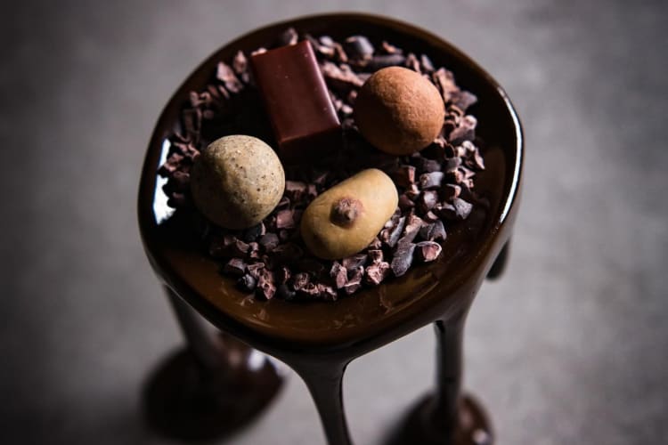 Chocolate creations dessert from tasting menu