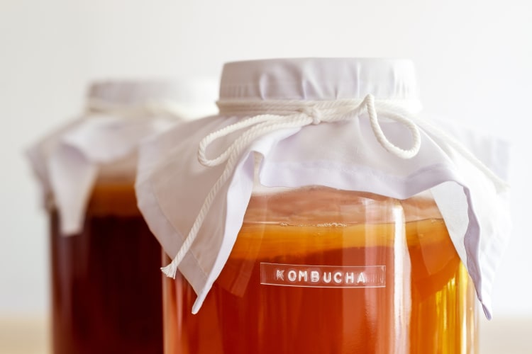 Homemade kombucha served in a bottled