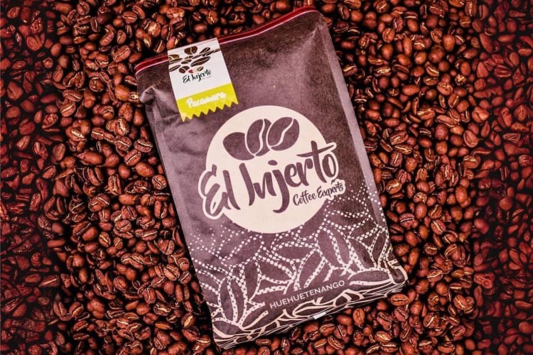 Finca El Injerto coffee grows in Guatemala