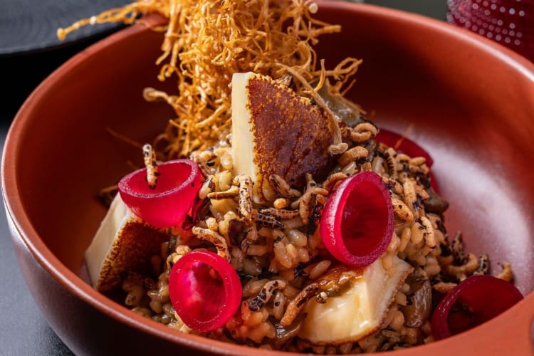 Mushroom rice with shio kombu, cheesy scamorza and puffed rice