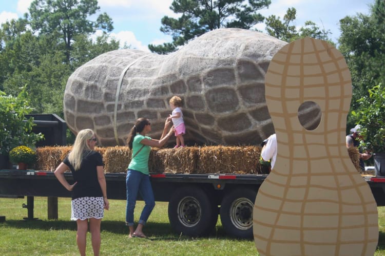 Boiled Peanut Festival at Bluffton, SC