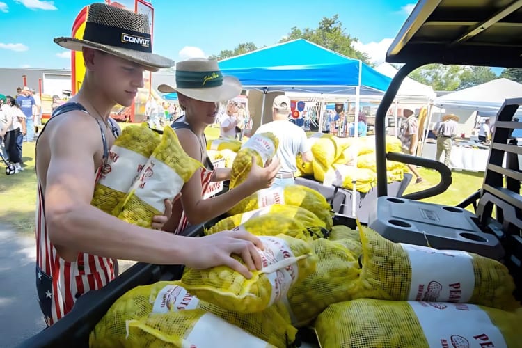 Try the peanuts at Brooklet Peanut Festival