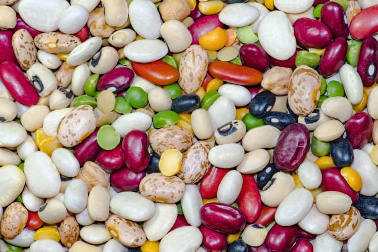 Assorted beans - understanding the distinction between prebiotics vs probiotics is paramount for optimizing gut health. 