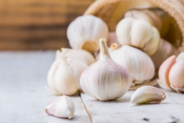 Garlic bulbs and cloves