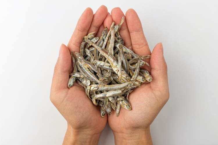 Handfull of anchovies
