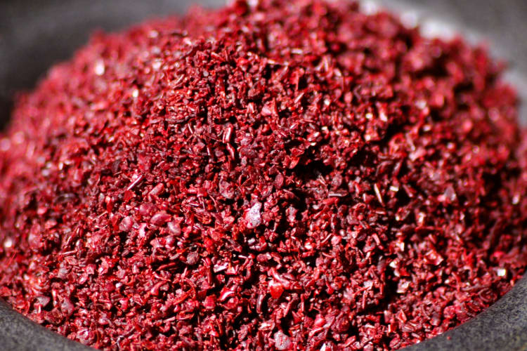Sumac close-up