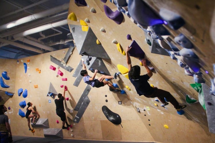 Indoor rock climbing is a fun team building activity in Boston