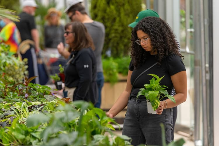 Visiting the botanical gardens is a stimulating team building activity in Denver
