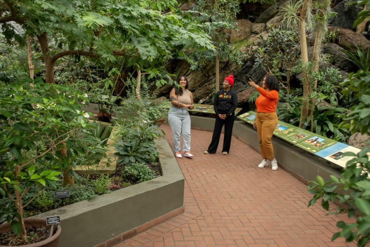An outing to the Brooklyn Botanic Gardens is a calming team building activity in NYC