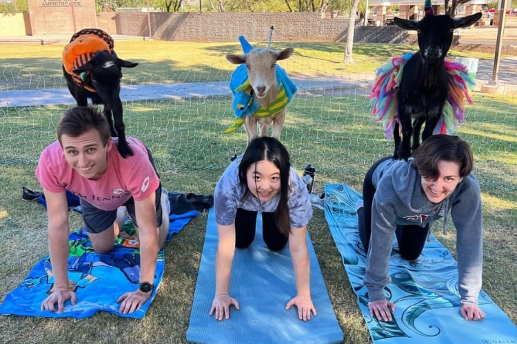 GOT Yoga is a unique team building activity in Tucson