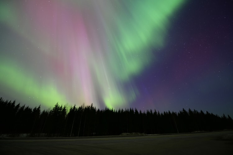 Nothern lights on the woods