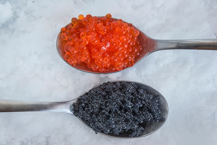 Black and red caviar on spoons