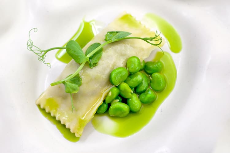 Broad beans agnelotti served with sauce