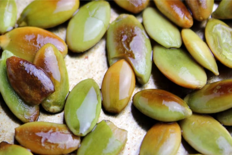 A close up of roasted pepitas