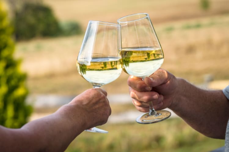 Two people clinking wine glasses in a vineyard