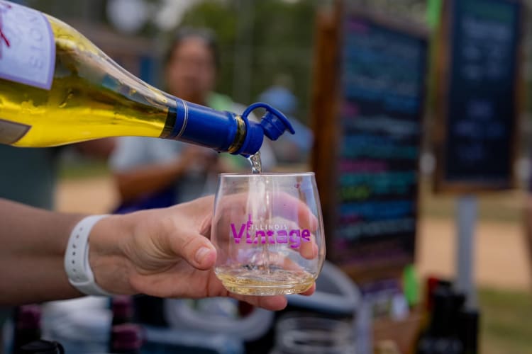 Enjoy Vintage Illinois wine festival