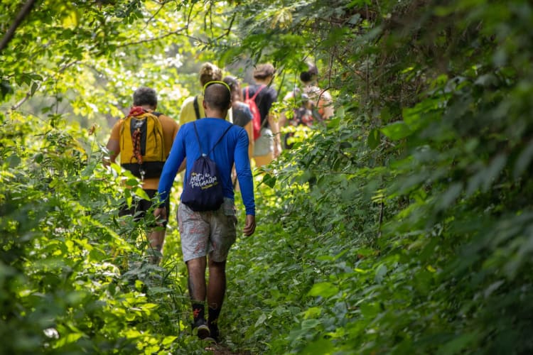 a group of people hike in a sunny forest