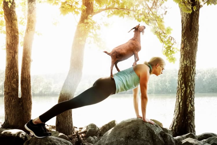 23 goat yoga