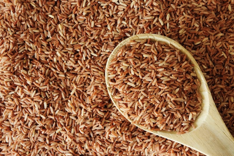 Best Brown Rice | Top 12 in 2026 | Cozymeal
