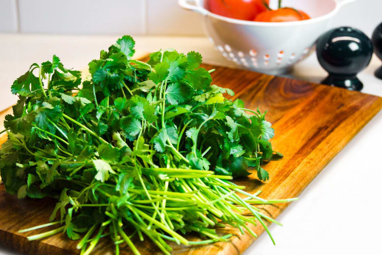 Can You Freeze Cilantro? Cozymeal