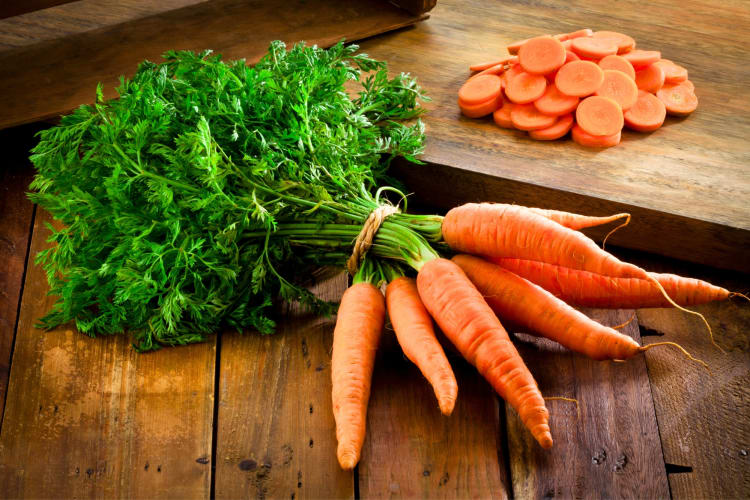 Carrot Recall 2024 Cozymeal
